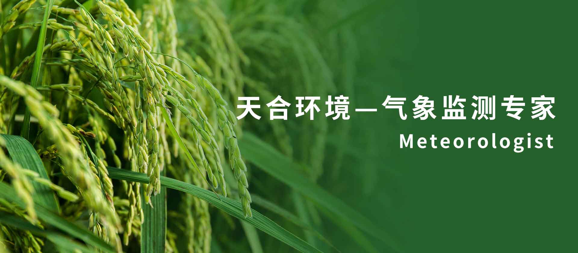农业气象站-山东天合环境科技